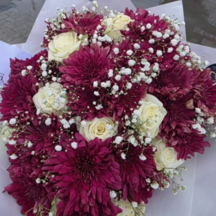 Burgundy Chrysanthemums