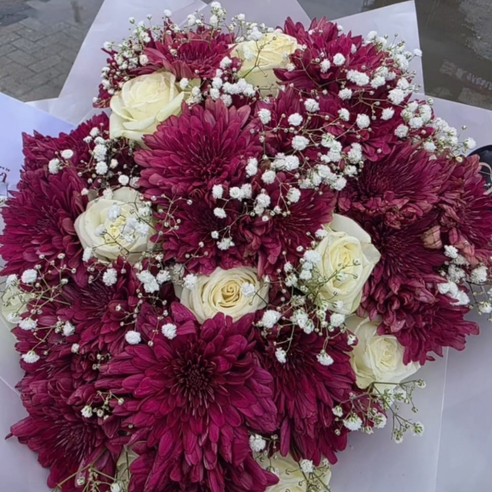 Burgundy Chrysanthemums